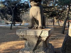 -沈阳市东陵公园
