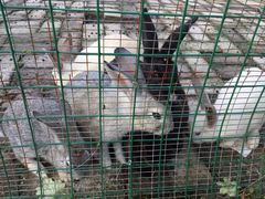 -云南滇池花园国际大酒店温泉