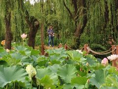 -洛阳市隋唐城遗址植物园