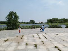 -蒲河岛湿地公园