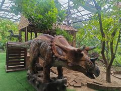 -呀路古热带植物园