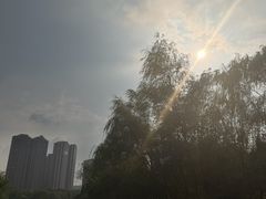 -洋湖国家湿地公园