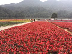 天池花海-广州市石门国家森林公园