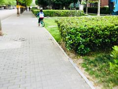 -活水公园