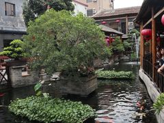 -猪肉婆私房菜(容桂总店)