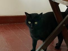 -春风十里咖啡馆