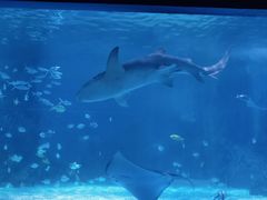 -常州海昌海洋探索馆