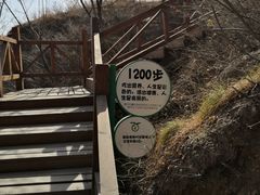 -大岭沟猕猴桃谷风景区