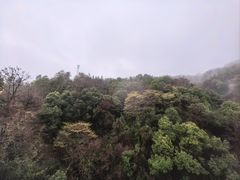 -庐山风景名胜区-东林大佛