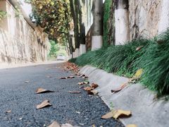 -浙江大学(玉泉校区)