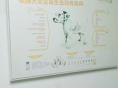 -宠颐生宠物医院外科·内科·皮肤科·影像科(石龙店)
