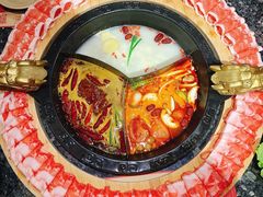 -蜀大侠火锅(森兰花园城店)
