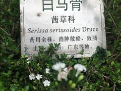 -广州神农草堂中医药博物馆