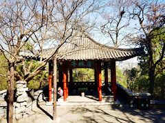 -千佛山风景名胜区