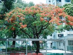 -屯门公园