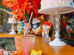 -柴犬高等学院·狗咖·柴犬售卖·宠物训练