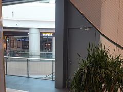-烹然四季椰子鸡火锅(姚家园万象汇店)