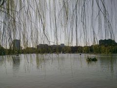 -紫竹院公园冰场
