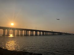 -宝安西湾红树林湿地公园