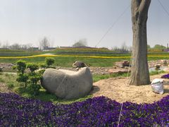 -南通洲际绿博园