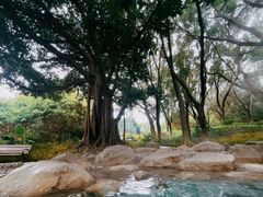-湖泉半山温泉