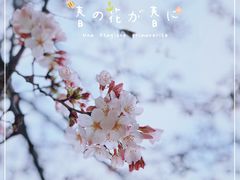 -西北湖绿化广场