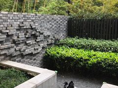 -上海崇明金茂凯悦酒店