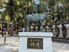 -奈良公园