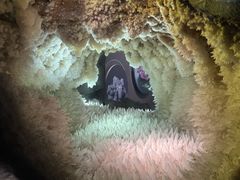 -湖南省地质博物馆