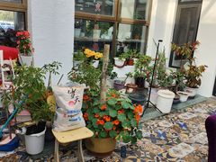 -北京龙庆四季香农家饭庄·灶台鱼·碳烤虹鳟鱼(龙庆峡店)