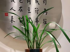 -枣子树·素食餐厅(普陀山店)