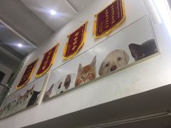 -爱侣宠医·鹦鹉专科·小型哺乳类·异宠专科(灵石路店)