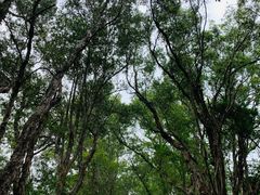 -华南国家植物园-售票处