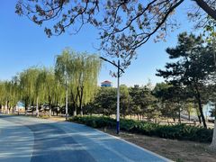-青龙湖公园