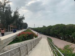 -宝安西湾红树林湿地公园