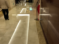 -楚天粤海国际大酒店-楚粤轩中餐厅(水果湖店)