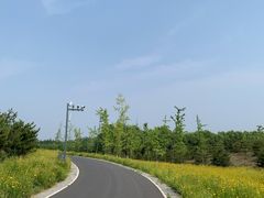 -东郊湿地公园