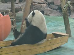 -五龙山野生动物王国