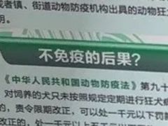 -思琪宠物医院(昆山花桥店)