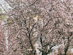 -沐泷泉(南风大剧院店)