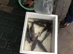 -浦商菜市场·锦德店