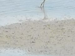 -北海金海湾红树林生态旅游区