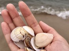 -深圳海边小筑客栈