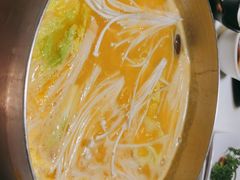 -洪氏嗨捞·猪肚鸡火锅(阳光天地店)
