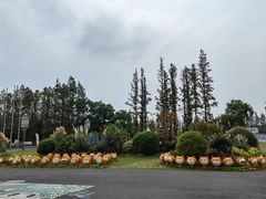 -上海长兴岛郊野公园