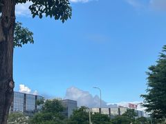 -长洲渡车船码头