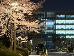 -Olive Young(明洞旗舰店)