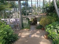 -北京植物园-展览温室