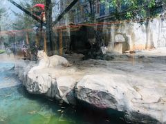 -灵玲国际马戏城