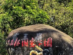 -霸王岭国家森林公园